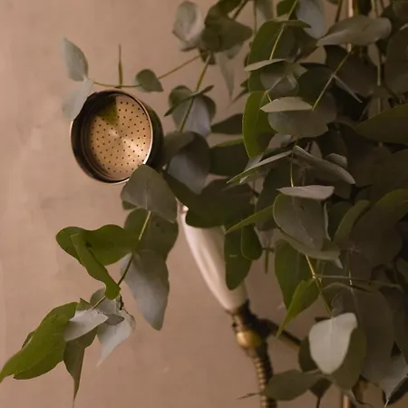 Apartment Elegance And Parisian Charm Tuileries *